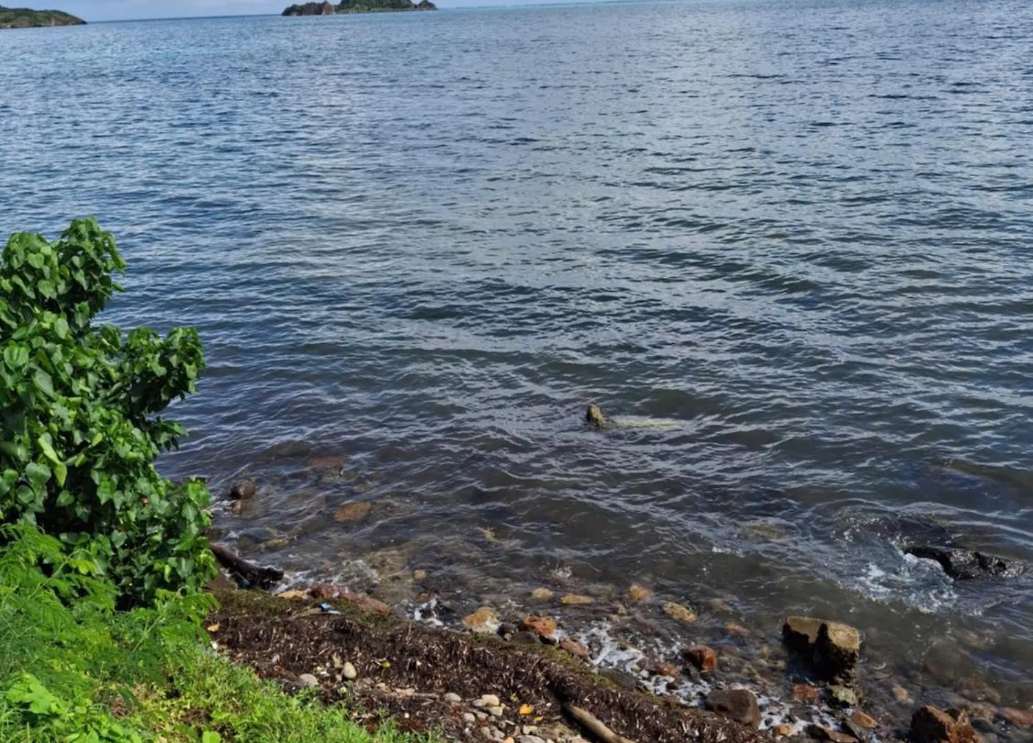 Bahia Rocky Point Apartment Colombia